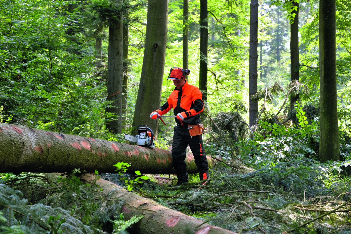 STIHL